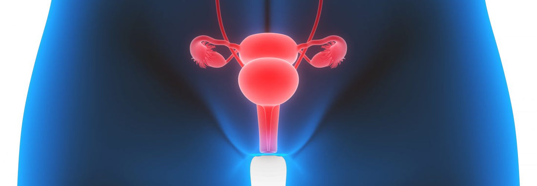 The Vagina – Myths and Facts