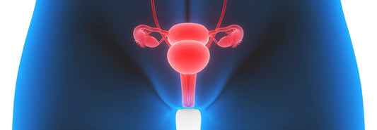 The Vagina – Myths and Facts